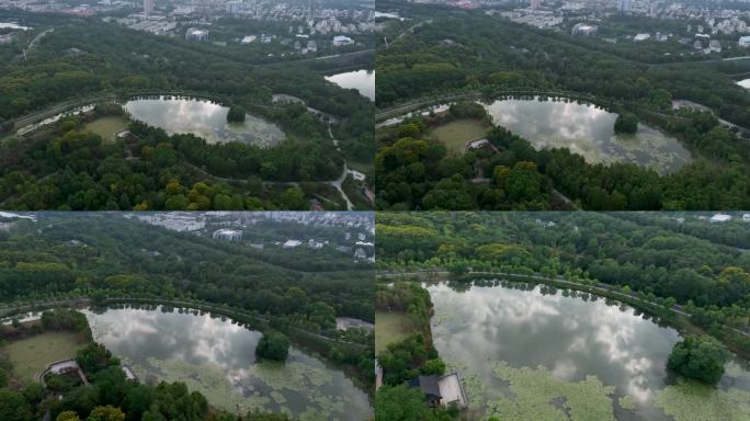 航拍钟山风景区燕雀湖风光