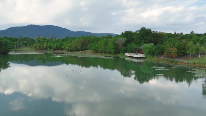 航拍钟山风景区燕雀湖风光