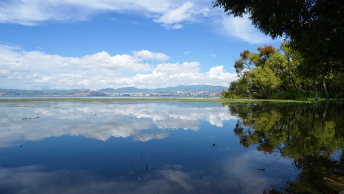 自然湖泊 生态湿地 大理洱海