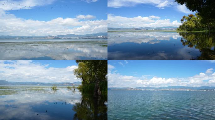 自然湖泊 生态湿地 大理洱海