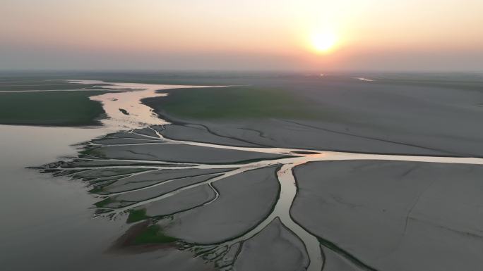 夕阳下鄱阳湖生命之树特写航拍视频