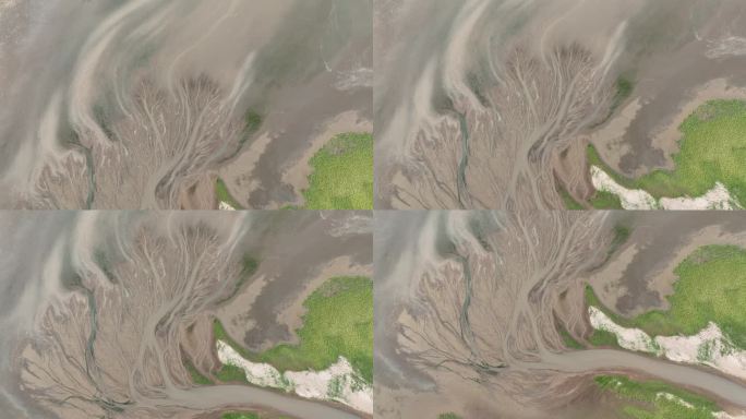 鄱阳湖之树航拍，自然的画笔