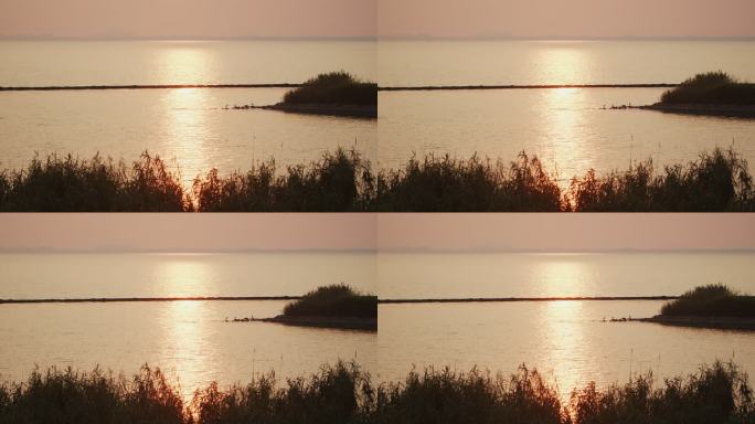 夕阳下的芦苇和湖面