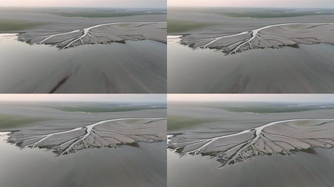 鄱阳湖生命之树航拍视频，自然奇观