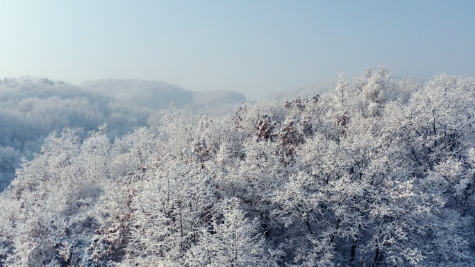 雾凇 冬季 冰雪世界 山水中国