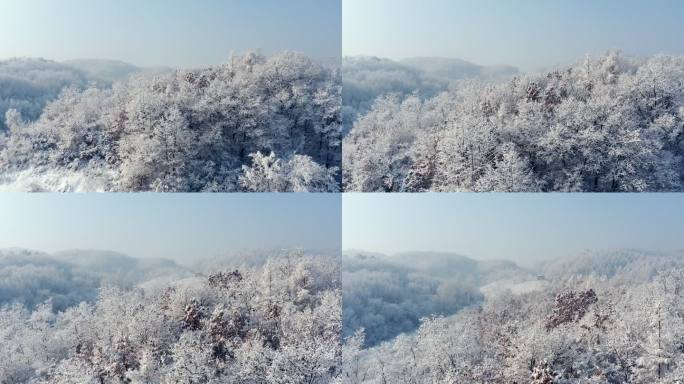 雾凇 冬季 冰雪世界 山水中国