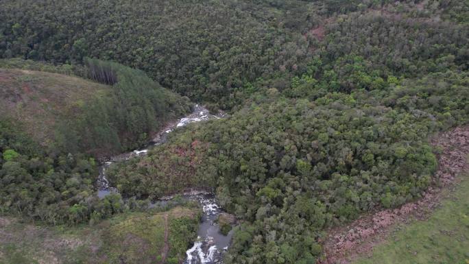 松树和针叶林，圣卡塔琳娜山脉有河流和丘陵