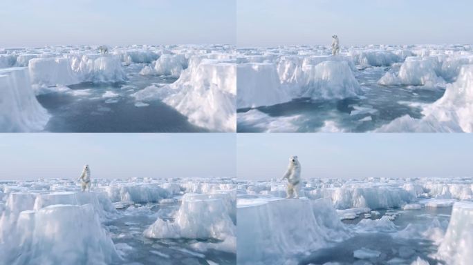 从无人机的角度看北极冰川融化