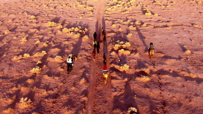 日落前，三个纳瓦霍姐妹在纪念碑谷附近的沙漠中赶着年轻的马
