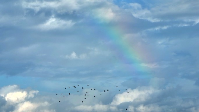 大理洱海彩虹与飞鸟