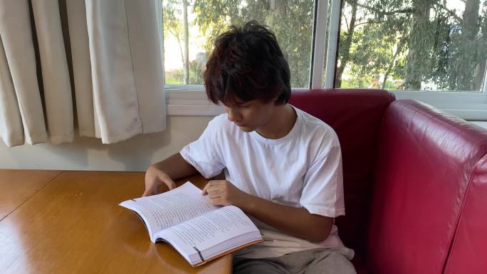 一个十几岁的男孩在家看书。数字排毒概念。