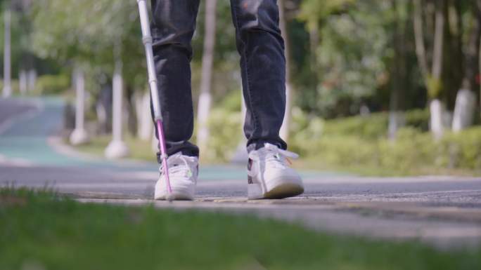 盲人使用盲杖散步 导盲犬引路