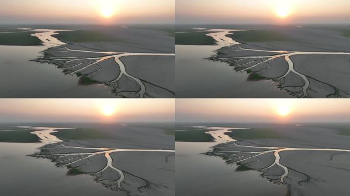 夕阳下鄱阳湖之树航拍视频，大自然的画笔
