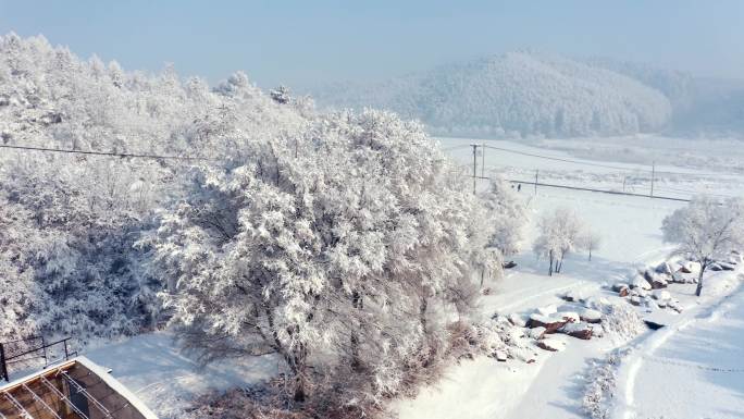 雾凇 冬季 冰雪世界 山水中国