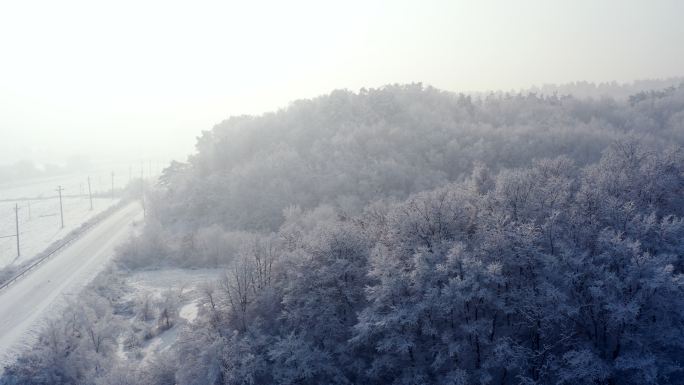 雾凇 冬季 冰雪世界 山水中国