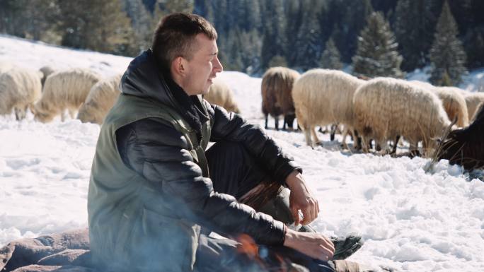 养羊。牧羊人和羊群在积雪覆盖的山地牧场上吃草。传统的畜牧业和牧场农业。