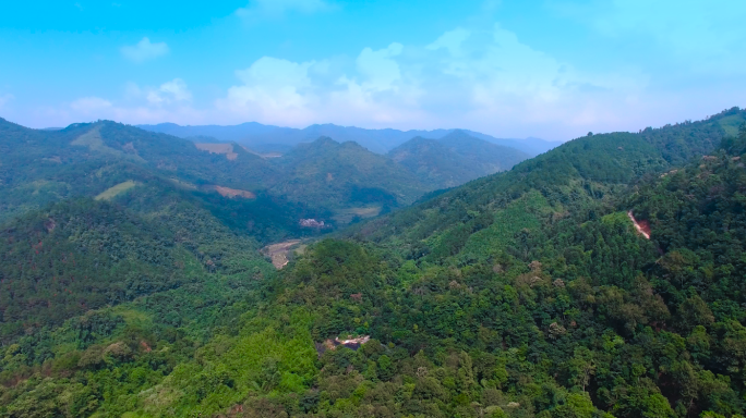 4k森林大自然流水风景树林山水自然山川