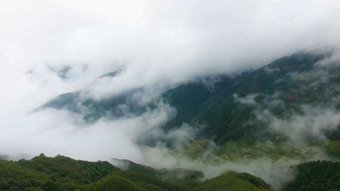 4k森林大自然流水风景树林山水自然山川