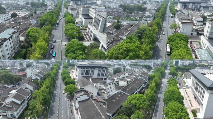 街道 绿树 延迟 行道树 交通