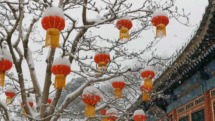 雪天北京颐和园的红灯笼视频