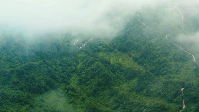 航拍云雾深山蜿蜒山路茶马古道空镜头