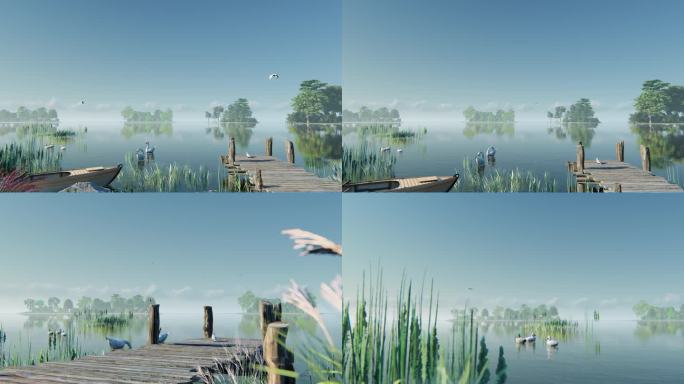湿地公园三维动画