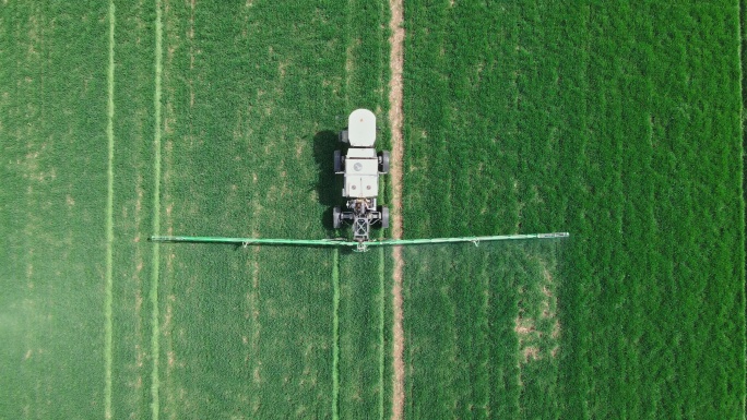 拖拉机为绿色麦田施肥的鸟瞰图。