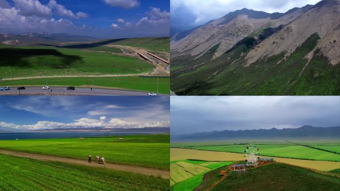 青海湖甘南西藏新疆内蒙古草原牛羊航拍