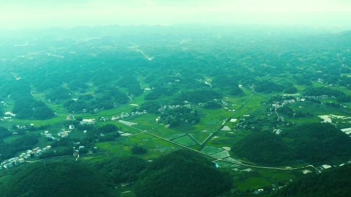 丘陵山谷农田稻田