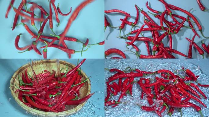 红红的辣椒 家乡农产品