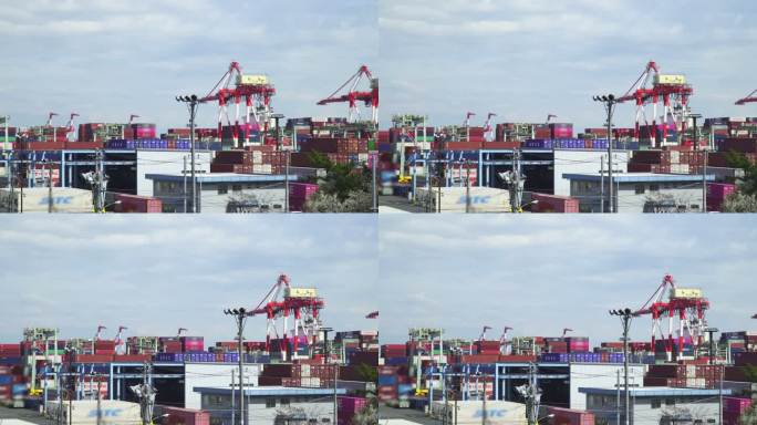 集装箱码头的货物起重机。港口集装箱作业。
