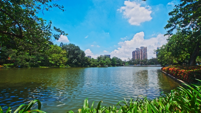 广州天河公园 天河湖 美景