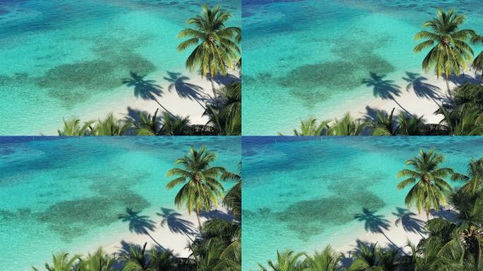 热带岛屿和棕榈树的无人机视图