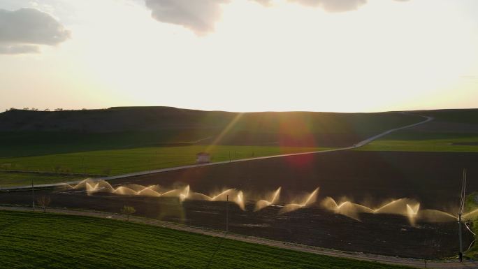 鸟瞰灌溉系统灌溉田地，鸟瞰灌溉在日落时灌溉麦田