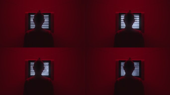 在一个黑暗的房间里，一个秃头男人坐在电视机前，画面中央有电视静电噪音，我们从后面看到他，他在视频结束