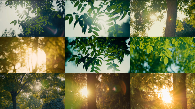 【4K】自然阳光光影空镜头合集