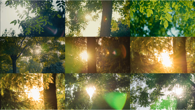 【4K】自然阳光光影空镜头合集