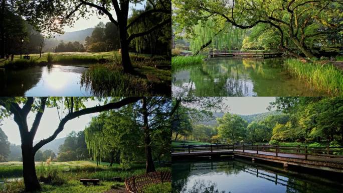 航拍太子湾公园美景 多镜头