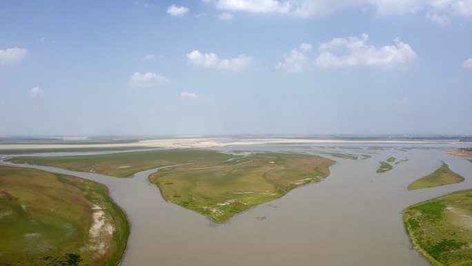 鄱阳湖湿地生命之树景观