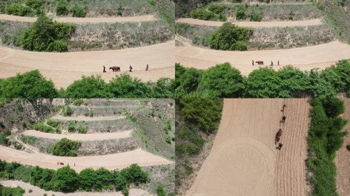 农业种植犁地画面