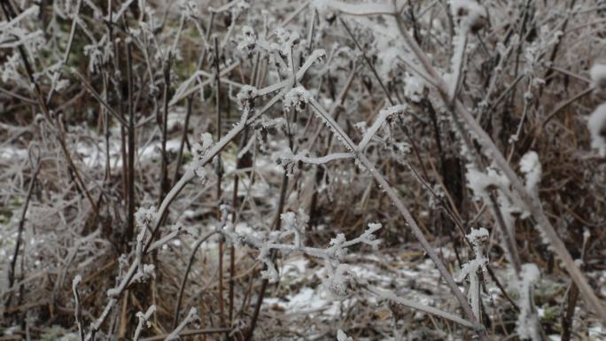 南方冬天冰雪灾害冻雨灾害极端天气