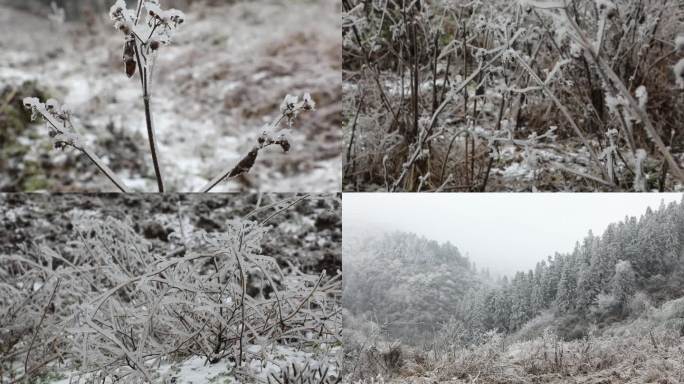 南方冬天冰雪灾害冻雨灾害极端天气