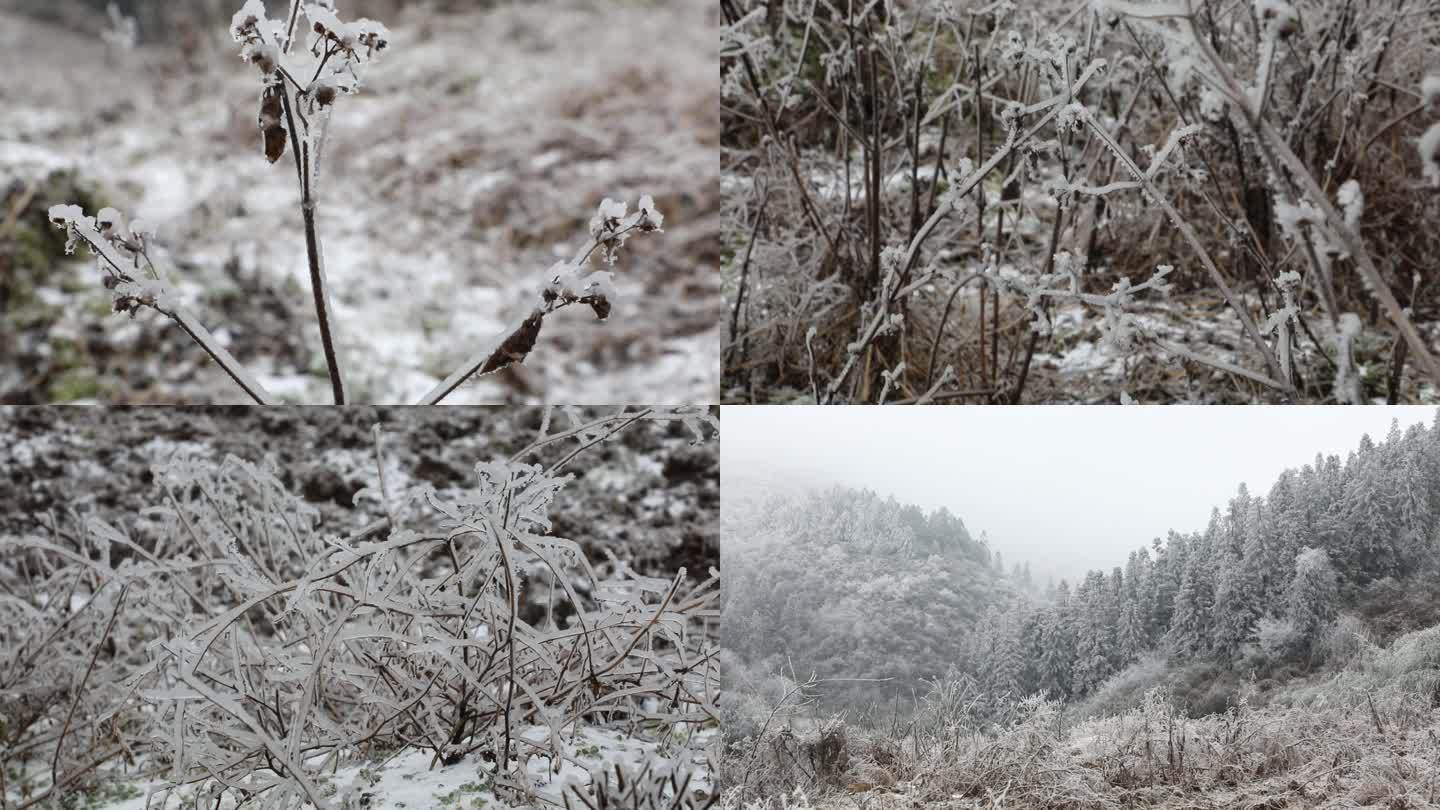 南方冬天冰雪灾害冻雨灾害极端天气