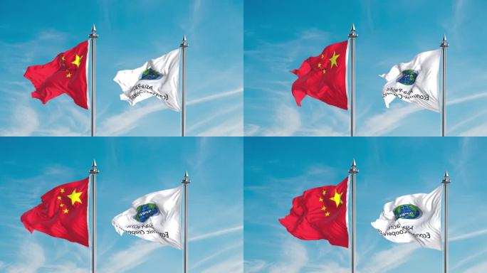 中国- 亚太经合组织旗 2