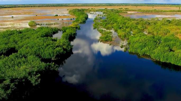佛罗里达州日落时的大沼泽地国家公园鸟瞰图。沼泽和植被