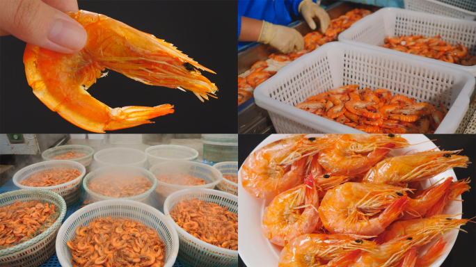 干虾晾晒工艺全过程