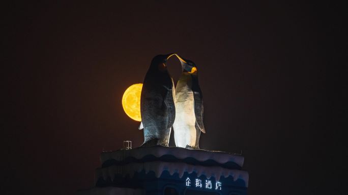 【4K超清】长隆企鹅酒店月升延时