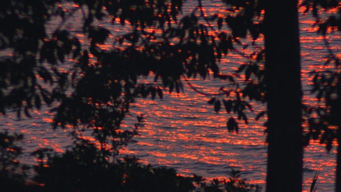 夕阳湖面水面反光倒影波光粼粼晚霞唯美树影