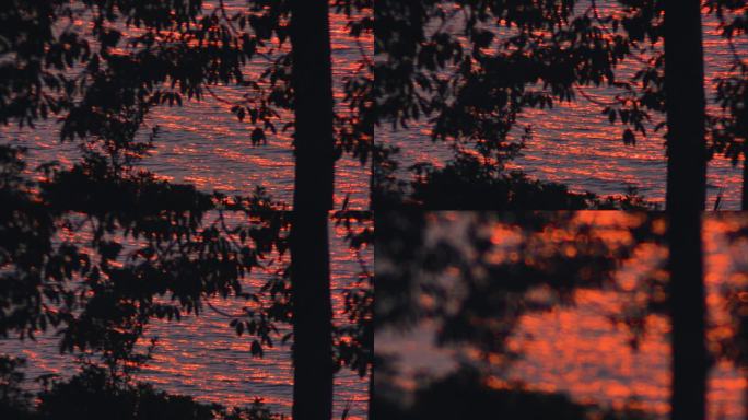 夕阳湖面水面反光倒影波光粼粼晚霞唯美树影