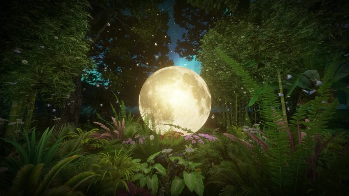 唯美意境丛林月亮